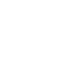 Twig Logo